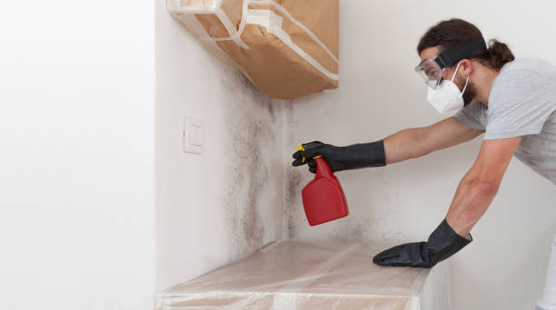 Professional Attic Mold Removal technician working in Boon, MI